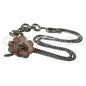 Preview: CHANEL silver-tone necklace w apricot-pink 4-leaf Clover & CC pendant