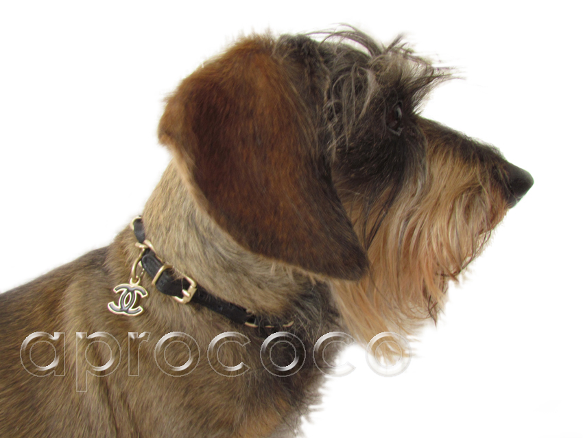 CHANEL Dog Collar For Small Dog Leather With Silver Charm F/S From JAPAN