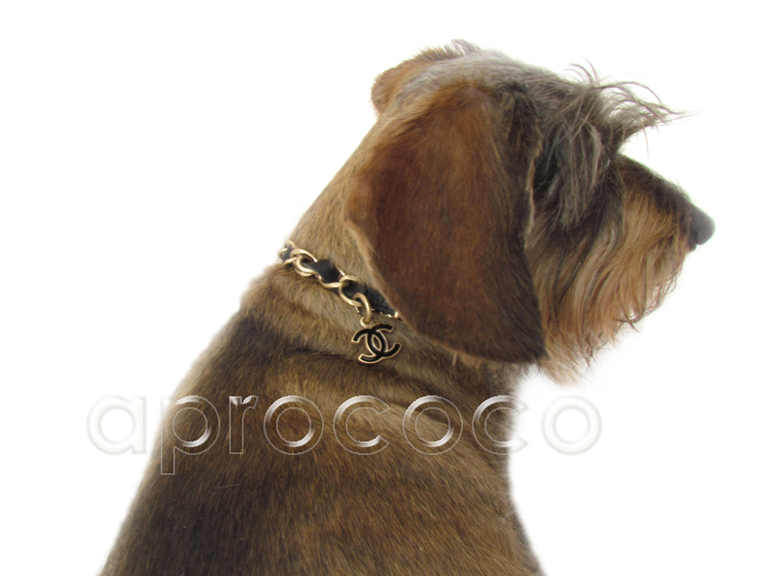 CHANEL Dog Collar For Small Dog Leather With Silver Charm F/S From JAPAN