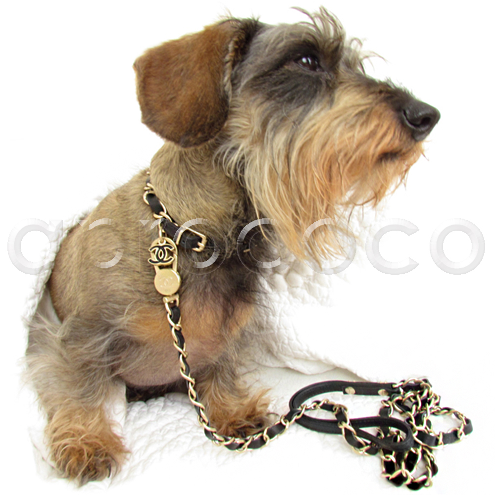 Chanel dog's collar,  Italia