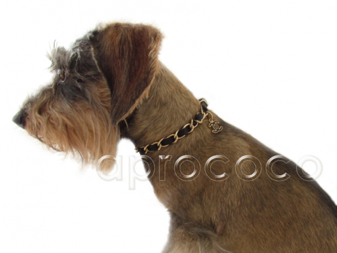 Hunde lieben CHANEL Hundehalsband & Hundeleine SET ~ Goldene Kette mit schwarzem Lederband & CC Anhänger